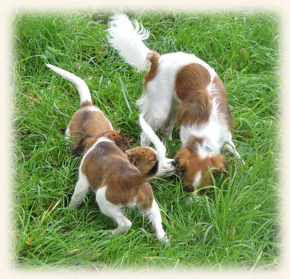 Lena mit Jamie und Lisa