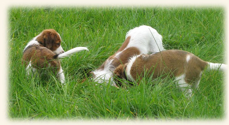 Lena mit Jamie und Lisa