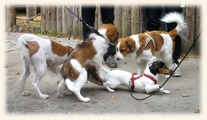 neue Bekanntschaften