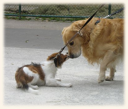 Gustl mit neuer Bekanntschaft