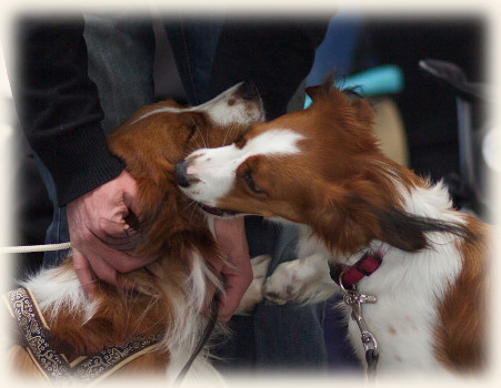 Karlsruhe Jamie und Lisa