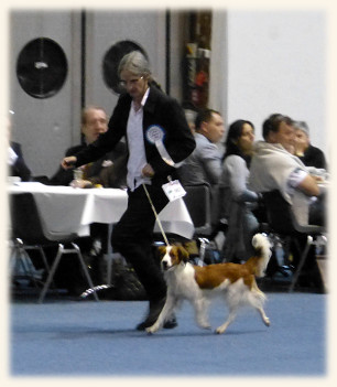 Klagenfurt - Lisa im Ehrenring
