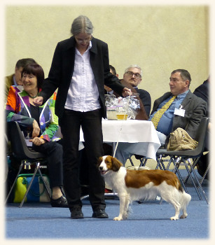 Klagenfurt - Lisa im Ehrenring