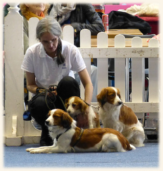 Klagenfurt - Segnung der Hunde