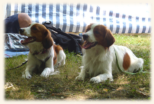 Ludwigshafen Lisa und Rico