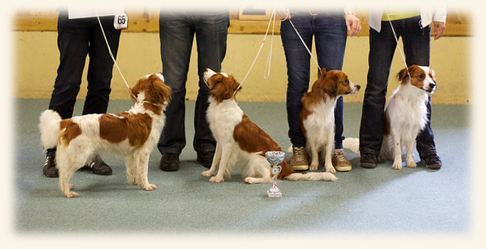 Neresheim Zuchtgruppe