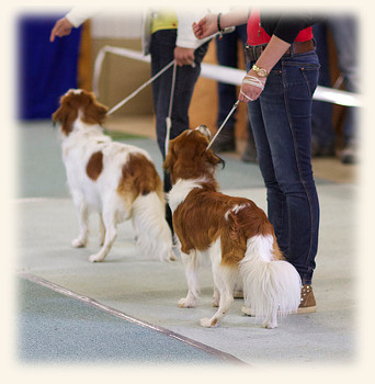 Neresheim Rico und Jamie