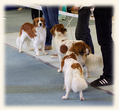 Neresheim Rico und Jamie