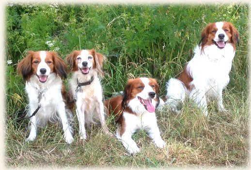 Lena, kathy, Lisa und Rico