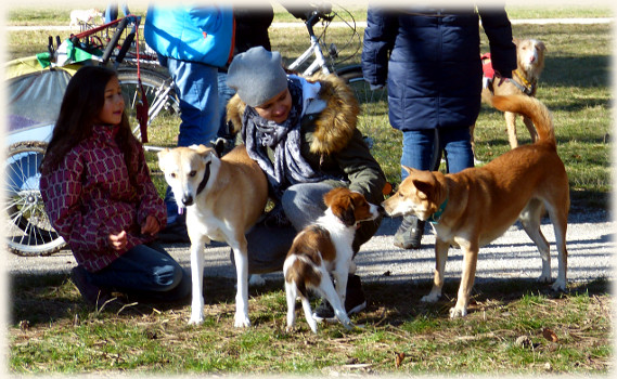 neue Bekanntschaften