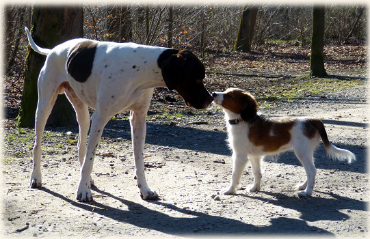 neue Bekanntschaften