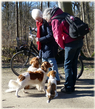Brigitte und Helga mit unseren Hunden