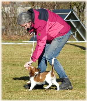 Lara in der Hundeschule