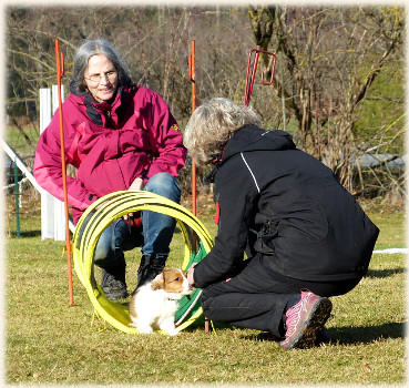 Lara in der Hundeschule
