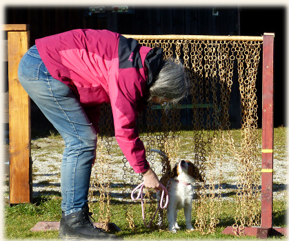 Lara in der Hundeschule