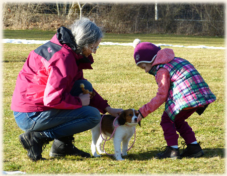 Lara in der Hundeschule