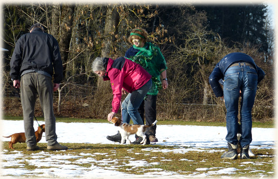 Lara in der Hundeschule
