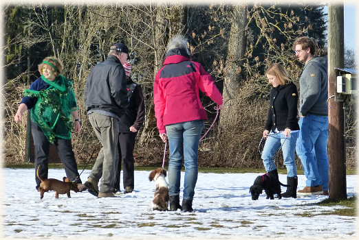Lara in der Hundeschule