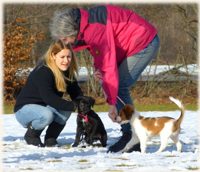 Lara in der Hundeschule