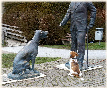 Lara in der Hundeschule