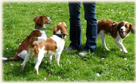 Lena, Lucie und Lara