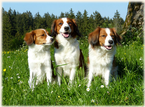 Lena, Lisa und Lara