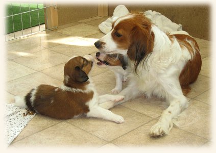 Lena mit zwei Welpen