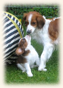 Lena mit Welpe im Garten