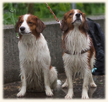 Jamie und Enrico in Ulm