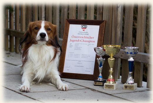 Jamie ist Österreichischer Jugend-Champion
