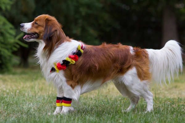 Jamie im Fussballfieber