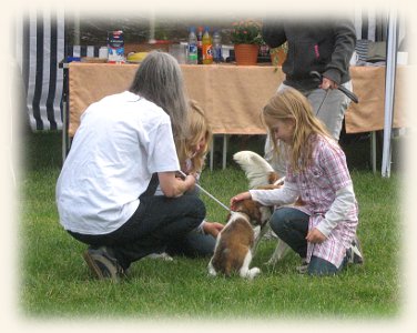 Lisa beim Ringtraining
