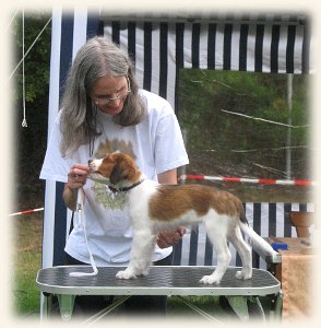 Lisa beim Ringtraining