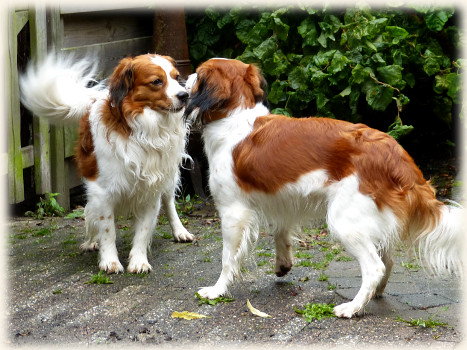 Lisa und Tonneke