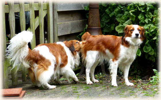 Lisa und Tonneke