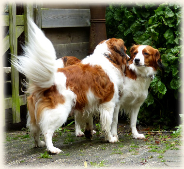 Lisa und Tonneke