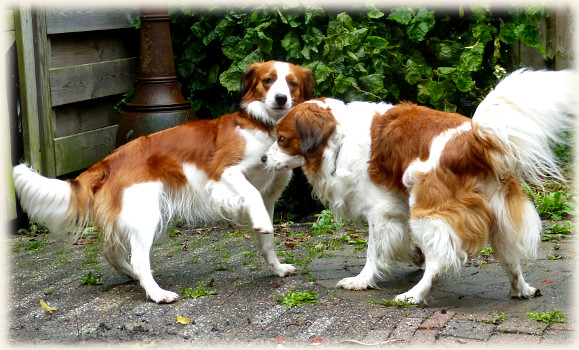 Lisa und Tonneke