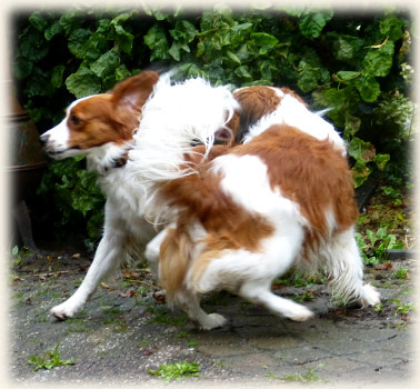 Lisa und Tonneke