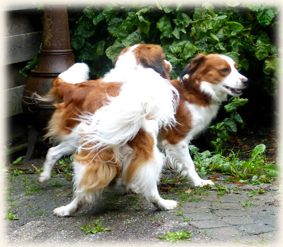 Lisa und Tonneke