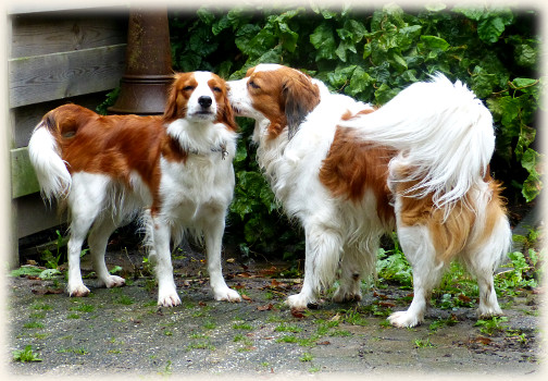 Lisa und Tonneke