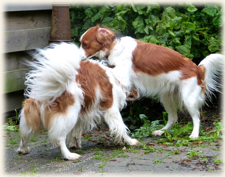 Lisa und Tonneke