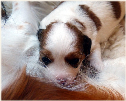 Maedel-2-beim-Trinken