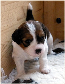 Maedel-1-kann-laufen