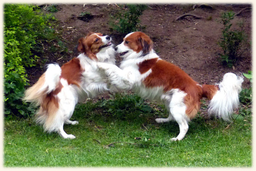 Winnie und Lara