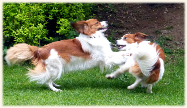 Winnie und Lara