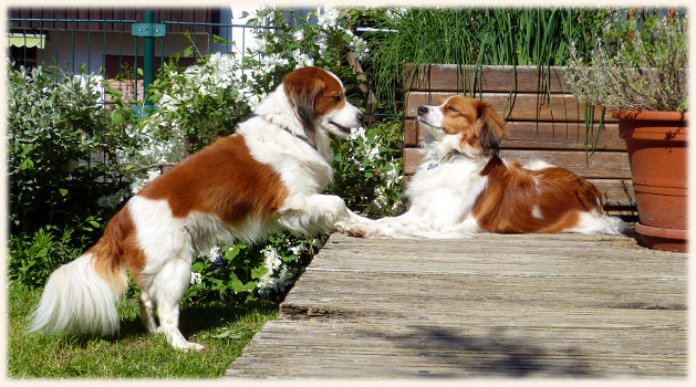 Winnie und Lara