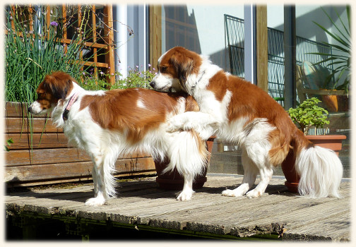 Winnie und Lara