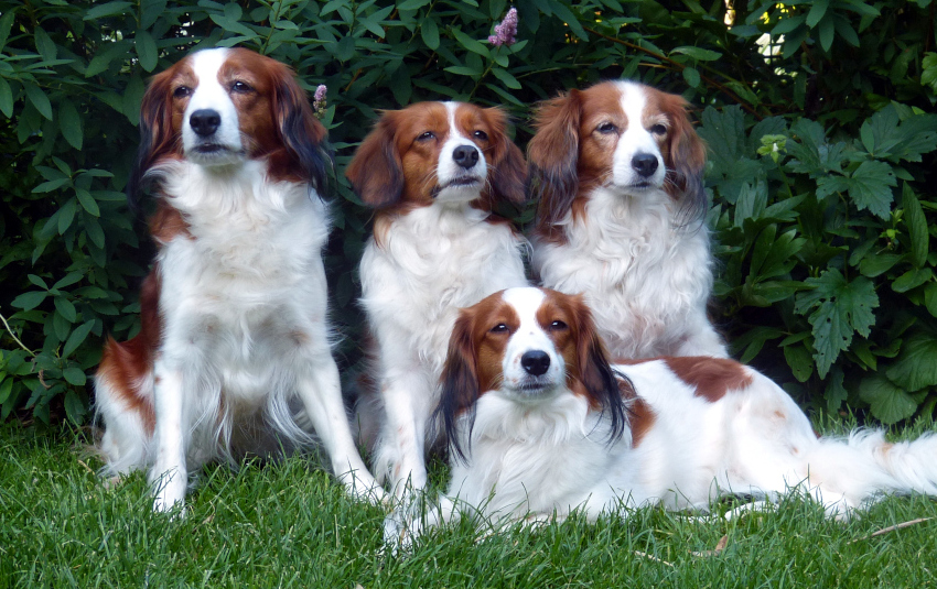 Gruppenfoto